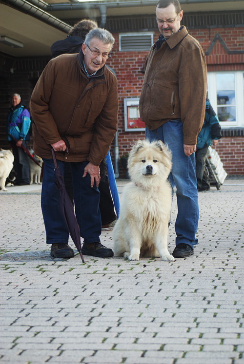0053 Erol mit Werner und Wilfried.JPG - SONY DSC